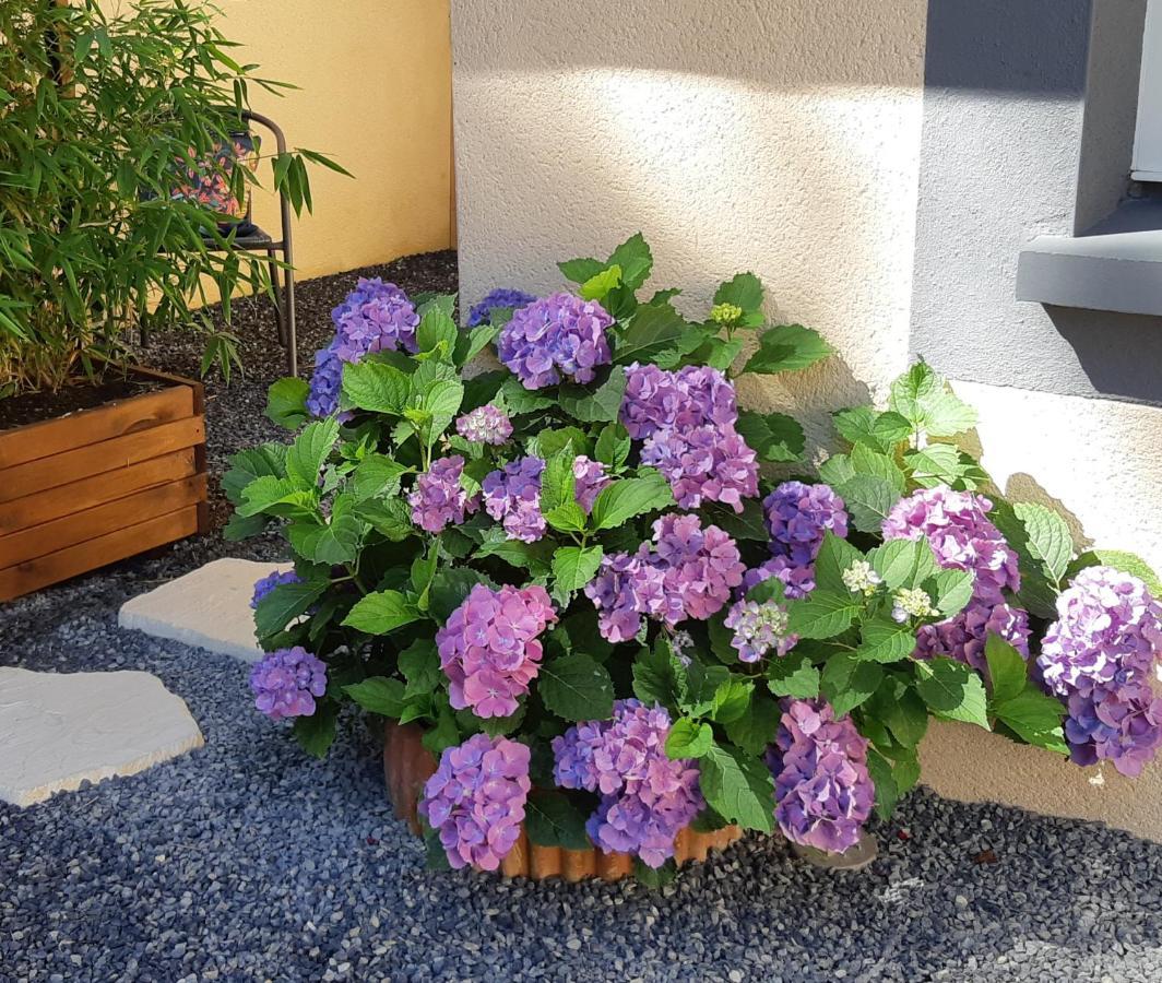 Bed & Breakfast Maison Du Val Du Loup *